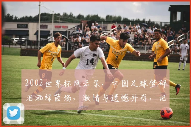 2002世界杯风云录，中国足球梦碎泪洒绿茵场，激情与遗憾并存，记忆犹新。