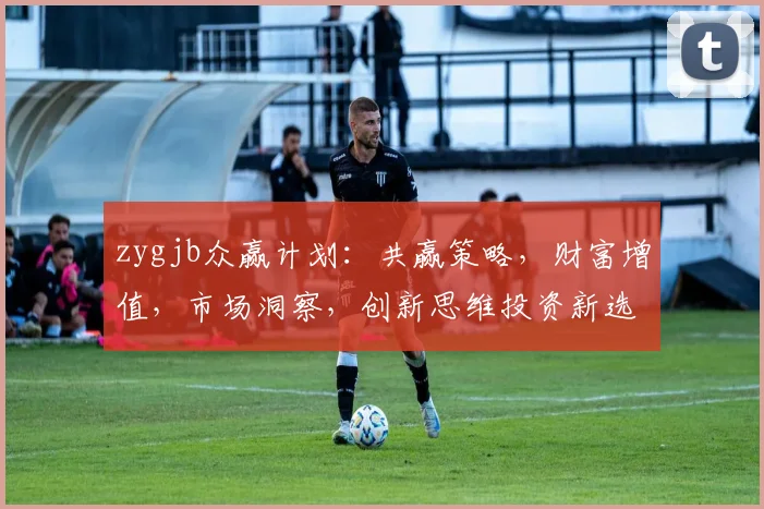 zygjb众赢计划：共赢策略，财富增值，市场洞察，创新思维投资新选择