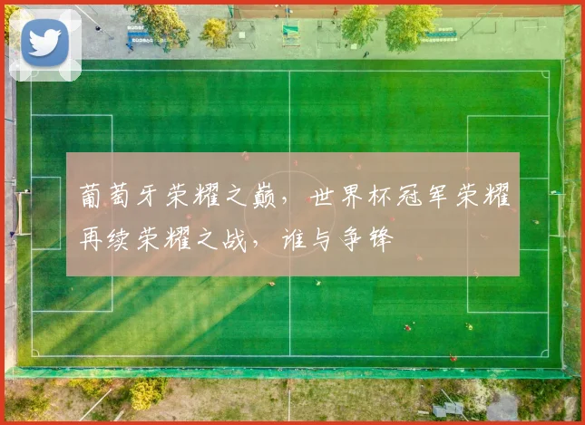 葡萄牙荣耀之巅，世界杯冠军荣耀再续荣耀之战，谁与争锋