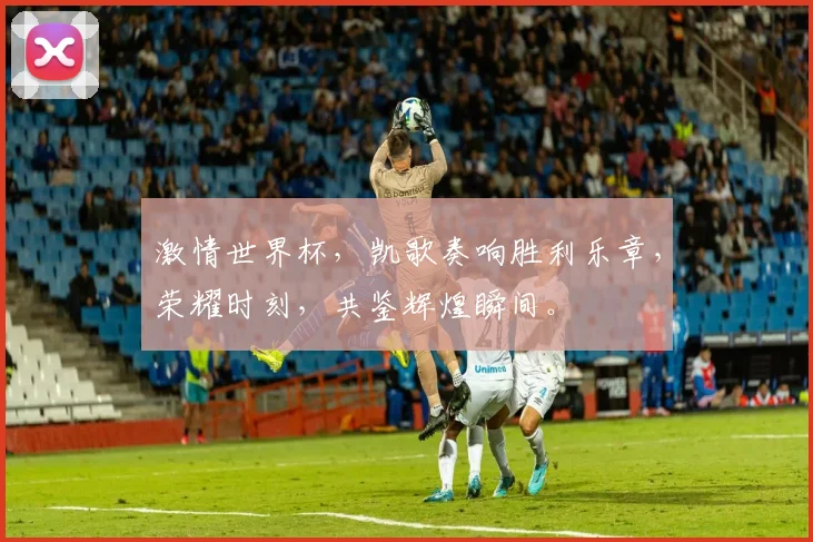激情世界杯，凯歌奏响胜利乐章，荣耀时刻，共鉴辉煌瞬间。