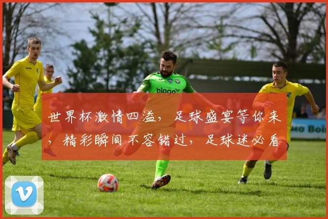 世界杯激情四溢，足球盛宴等你来，精彩瞬间不容错过，足球迷必看